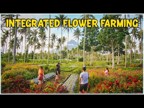 Integrated Flower Farming