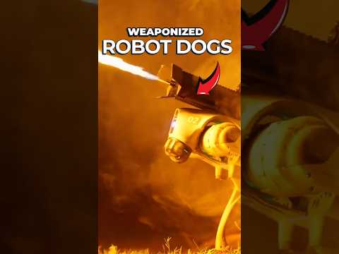 US Military Unveils Weaponised RoboDogs