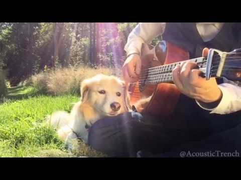 Pure Imagination tribute in memory of Gene Wilder. Fingerstyle w/ Guitar Tabs