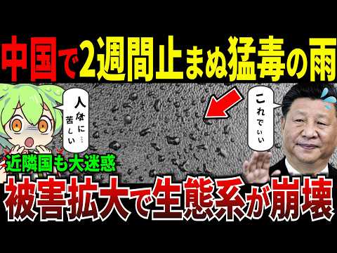 雨乞い政策が成功するも...猛毒の雨が降り止まず生態系崩壊w【ずんだもん＆ゆっくり解説】