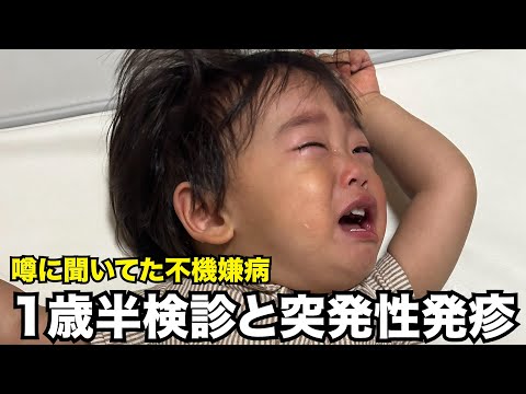 1歳半検診と突発性発疹の記録【不機嫌病】