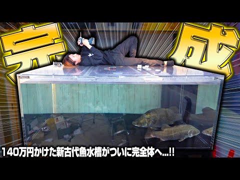 [Too big] The giant aquarium that cost 1.4 million yen is finally complete