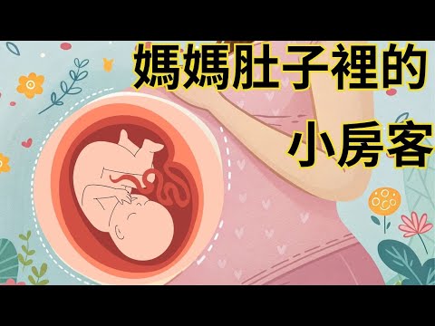 【媽媽肚子裡的小房客】兒童睡前故事繪本｜兒童故事繪本｜床邊故事｜童話故事｜寓言故事｜兒童動畫｜晚安故事｜你被點名了嗎?｜想讓元元點名的小寶貝請跟老師聯絡｜元元老師的聯絡方式在描述欄