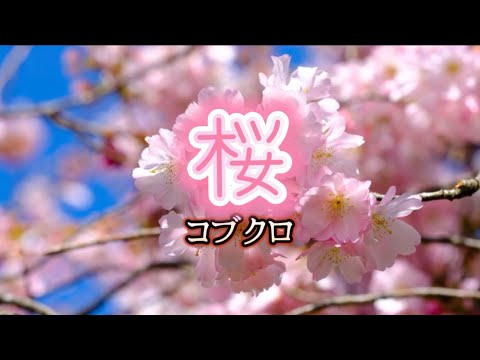 コブクロ『桜』【歌詞動画】