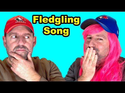 Fledgling Song – Learn English Through Music