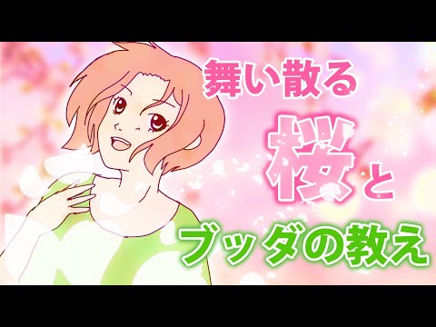 満開の桜に見る人生の意味とは【ブッダの教え】