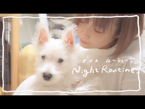 私の夜の過ごし方 Night routine