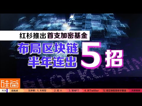 改架构、发NFT、推加密基金，红杉如何布局区块链投资？