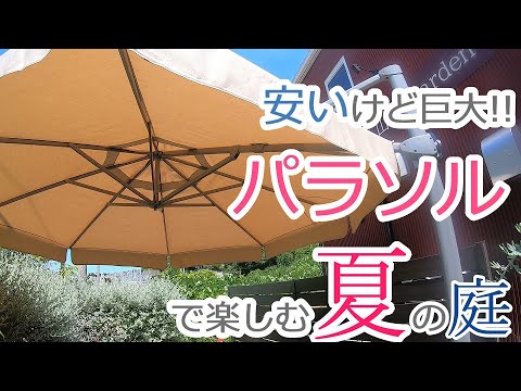 【庭づくり】安いけど巨大!!パラソルで楽しむ夏の庭【庭アレコレ#27】