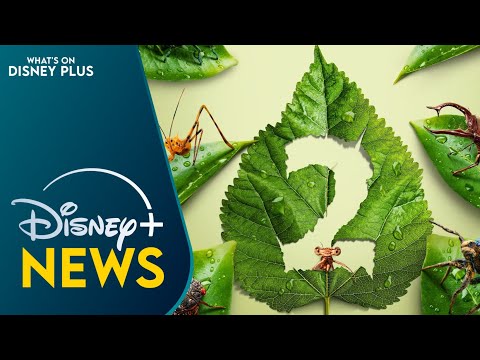 "A Real Bug's Life" Season Two Coming Soon To Disney+ | Disney Plus News