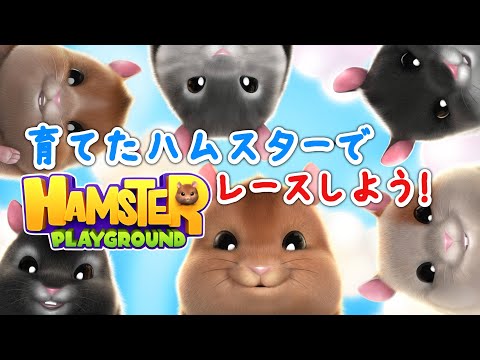 【HAMSTER PLAYGROUND】うちのこが一番！