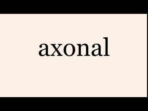 axonal