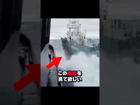 海賊船と戦った勇敢な日本人#shorts #shortvideo #海外の反応 #日本 #海賊王