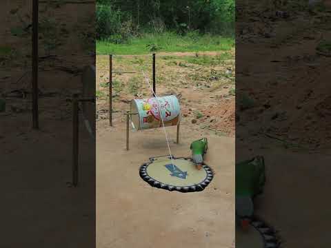 Parrot Underground Trapping - Creative DIY Bird Trap #ytshorts #techniqueuniquetrap #shorts