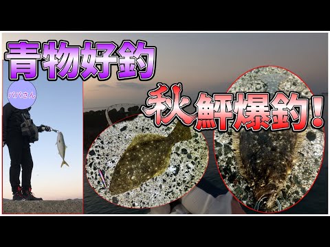 【北海道青物&ヒラメ2024】函館：ブリとヒラメの欲張り釣行！