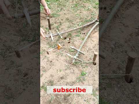 A FAST AND EFFECTIVE TRAP  #trap #farming #trapping #bushcraft #survival