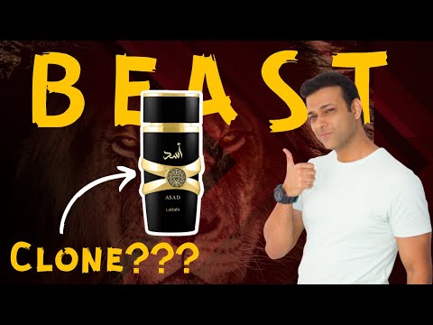 Lattafa Asad Perfume Review | Lattafa | Long Lasting Perfume | Beast Mode Perfume #perfumebeast