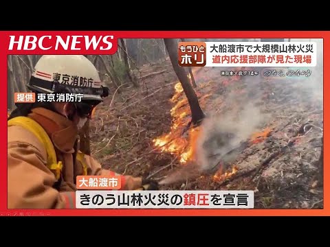 【岩手・山林火災】HBC記者が見た被災地の現実　継続的支援と地域連携の必要性　専門家は警鐘…地球温暖化で高まる山林火災のリスク