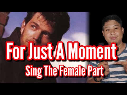 For Just A Moment - David Foster -Karaoke - Male Part Only