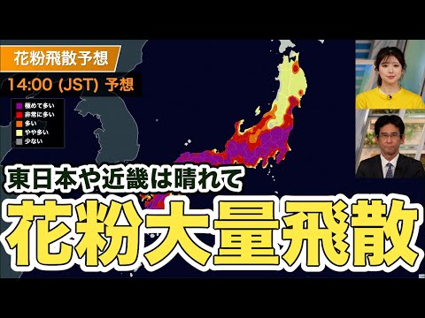 【花粉情報】東日本や近畿は晴れて花粉飛散は極めて多い予想