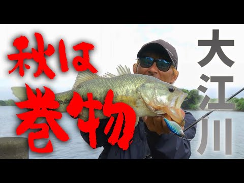 秋の大江川！巻物で挑む【水野浩聡プロ】ルアーで釣っちゃお！2024年11月放送分