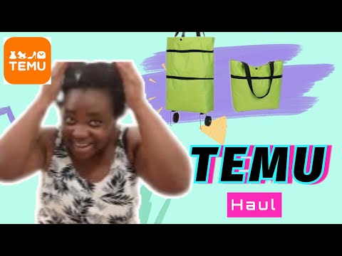 Temu haul what I ordered vs what I got