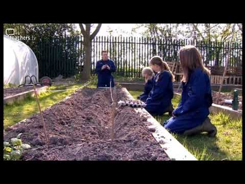 Teachers TV: Secondary Outside - From Farm to Fork