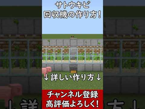 【統合版】全自動サトウキビ回収機の作り方！PE/PS4/Switch/Xbox/Win10【便利装置・回路紹介】ゆっくり実況  ソラクラ　#Minecraft#マインクラフト#マイクラ