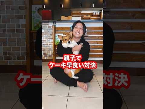 【親子早食い】YouTube界最強トミーvs息子でクリスマスケーキの早食い対決したらまさかの結果に！！ #shorts