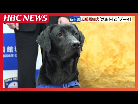 不正薬物の密輸を水際でストップ　麻薬探知犬2匹が新たに配属「ボルト」と「ゾーイ」新千歳空港