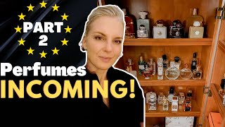 UPDATED PERFUME ROTATION | TheTopNote #perfumecollection #perfumereviews