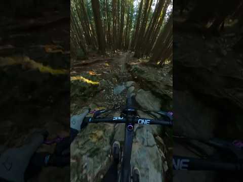 Crazy ride on a rock garden #mountainbiking #pov #mtb