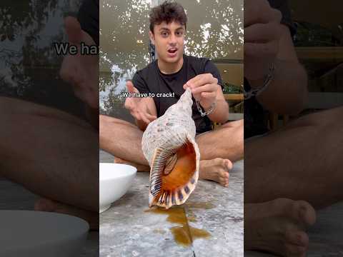 Cooking MASSIVE Trumpet Snail