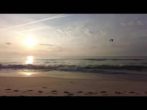 Beach Sunrise Bliss