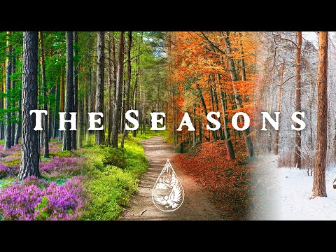 The Seasons 🌼☀️🍂❄️ - An Epic Indie/Folk/Pop Playlist