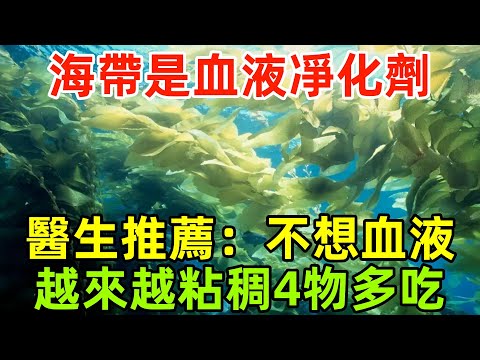 海帶是「血液凈化劑」？醫生推薦：不想血液越來越粘稠，4物多吃