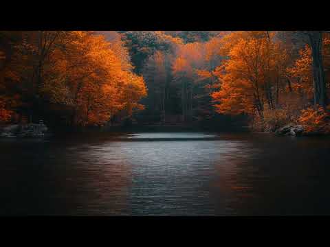 Windy Cozy🍁🍂 Fall Day on the Lake🦆 Water Sounds Soothing Calming Relaxing