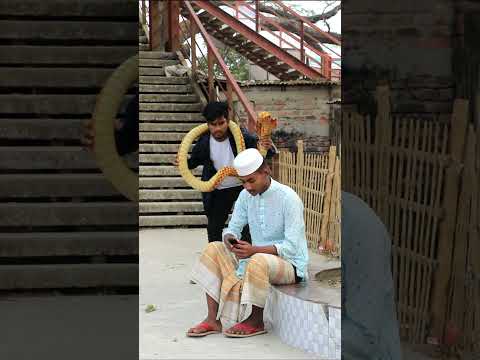 Funny King Scary King Cobra Snake Prank #shorts #furtifuntv