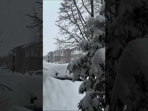 Snowfall in Torono #ezfam #snowfall #lifeincanada #pinoyincanada #winter #snowy #snowstorm