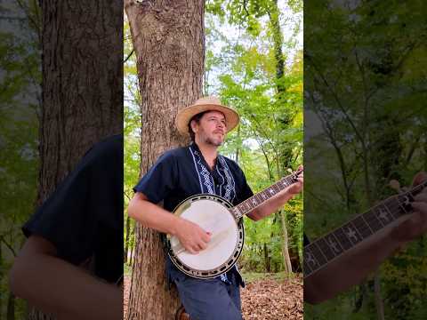 Epic Banjo Jam in the North Carolina Forest 🌳🪕  #music #shorts