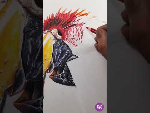 Drawing Macaw #colorpencil #explore#trending#viral#art#artist#drawing#polychromos #parrot#macaw#bird