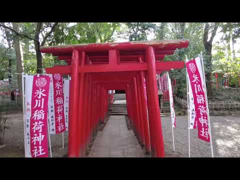 さいたま市大宮区 武蔵一宮 氷川神社 緑溢れるヒーリングスポットHIKAWA jinja