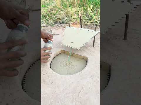 DIY CREATIVE - Really Creative Underground Quail Trap Using Cardboard Box #shortsvideo