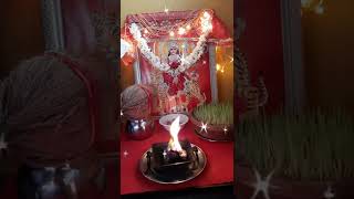 Navratri Bhajan Special | Navratri Trending Bhajan Aarti | Maa Ka Darbar at My Home  #shorts