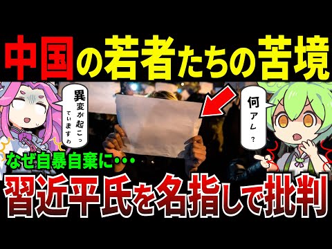 中国の若者たちの苦境「習近平氏を名指しで批判」なぜ自暴自棄に…【ずんだもん＆ゆっくり解説】