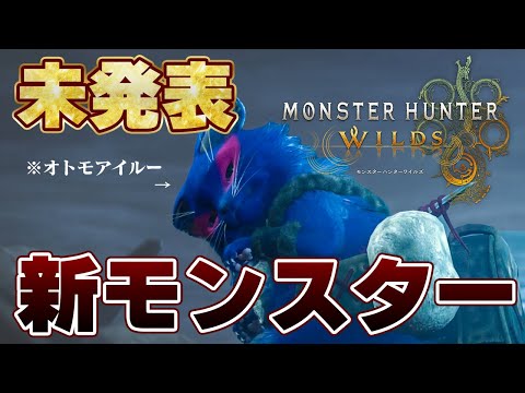 未発表の新モンスターに悪口を言う茶々茶【モンハンワイルズ 切り抜き】