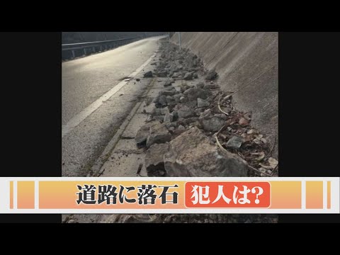 危険！道路沿いに続く大量の落石…犯人はあの厄介者