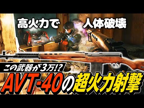 【タルコフ】恐ろしいほどの超火力！新武器AVT-40の高火力弾フルオート射撃で人体破壊【ゆっくり実況】