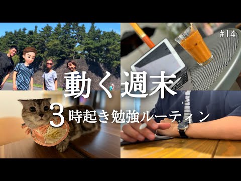 【３時起きルーティン】29才会社員の勉強と筋トレの記録【朝活】