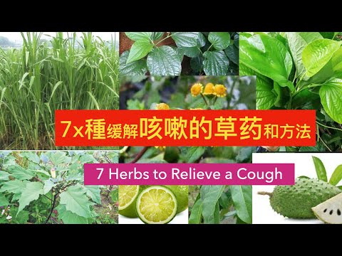 為什麼會咳嗽？7種神奇食療方，簡單容易化痰止咳很實用草药。一定要學起來。Why do you cough?  7 Herbal Remedies for Cough Relief.